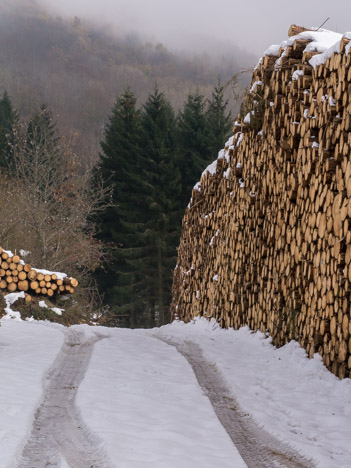 Tas de bois de la Crevatte, Souclin