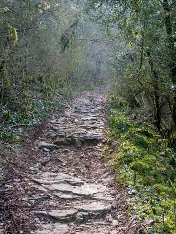 Chemin pavé