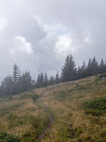 À travers le Chenalet