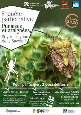 Punaises et araignées, soyez les yeux de la Savoie, mai 2020