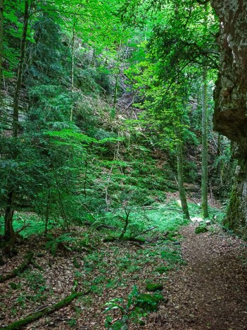  Grande Combe, rivière de la Vèbre
