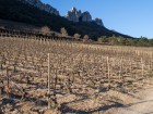 Dentelles Sarrasines, le Rocher du Turc