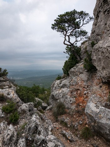 Sur le sentier de l'ancienne vigie