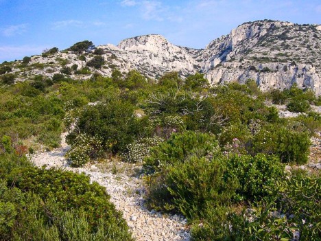 Le Cap Gros depuis la croupe des Charbonniers