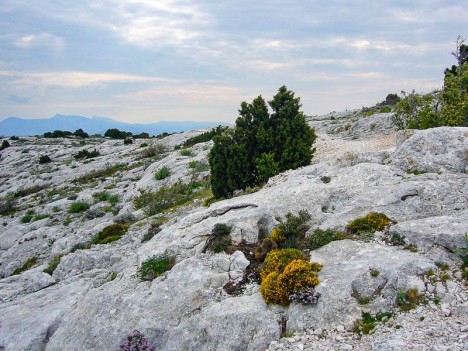 Par le plateau entre le Mont Puget et le Cap Gros