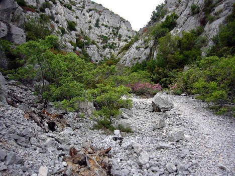 Sentier du Ravin de Gorgue Longue