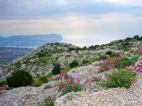 La Baie de Cassis depuis le Vallon des Rampes
