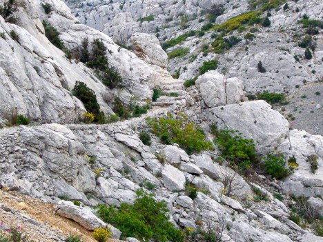 Marches sur le sentier du Vallon des Rampes