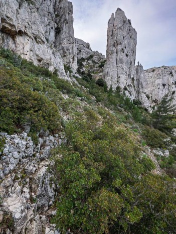 Aiguille Guillemin