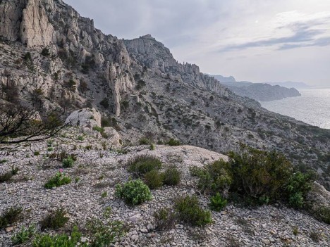 La Tête de la Mélette