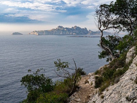 Sur le sentier de la Calanque de l'Escu