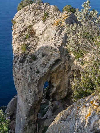 L'éléphant des Falaises Soubeyranes