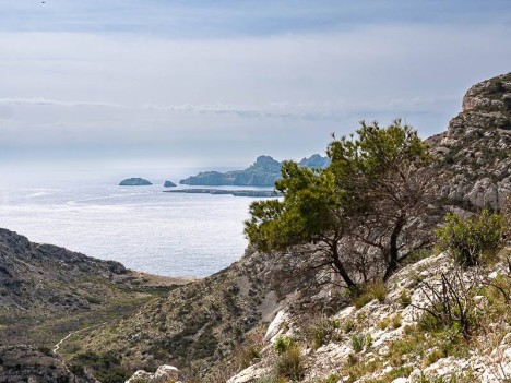 Île de Riou et Plan des Cailles
