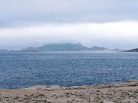 Brouillard sur l'ïle de Riou