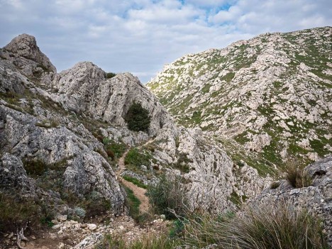 Sentier du Col Sabatier