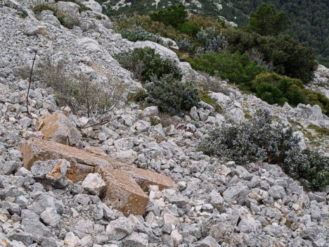 La Croix du Puget