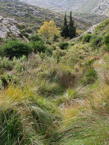 La Source des Eaux Vives