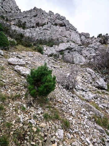 La vire, passage clé de la descente, rive droite du Vallon Mestrallet