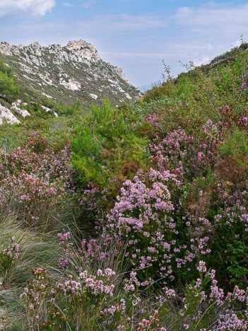 Bruyère, Vallon de la Barasse