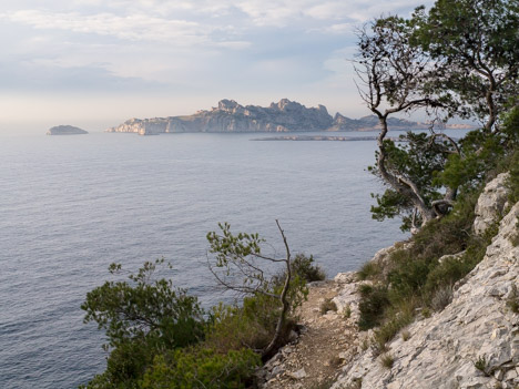 Sur le sentier de la Calanque de l'Escu