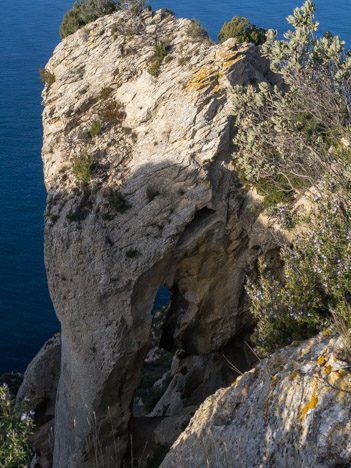 L'Éléphant des Falaises Soubeyranes