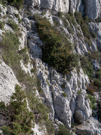 Passage dans la descente du sommet Ouest de l'Homme Mort