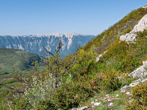 Le Mont Ventoux à l'horizon