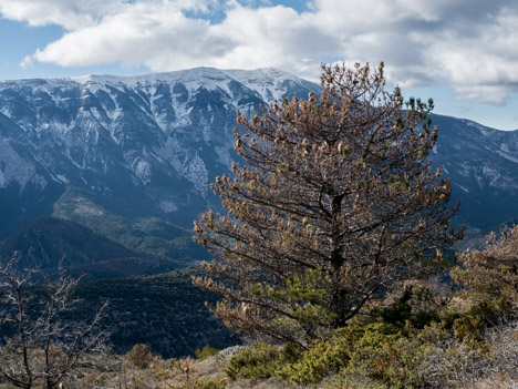 Le Mont Ventoux