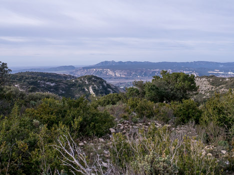 Crane de Colombier, la Vallée de la Durance