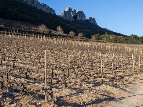 Dentelles Sarrasines, le Rocher du Turc