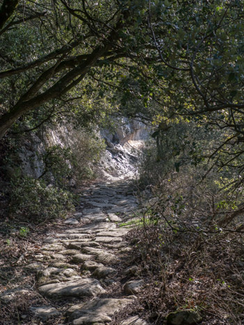 Chemin caladé dans le Vallon de l'Aigue Brun