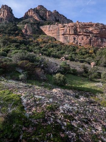 provence-maure-roquebrune-vire