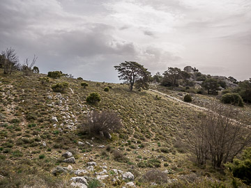 Paysage du Col du Fauge