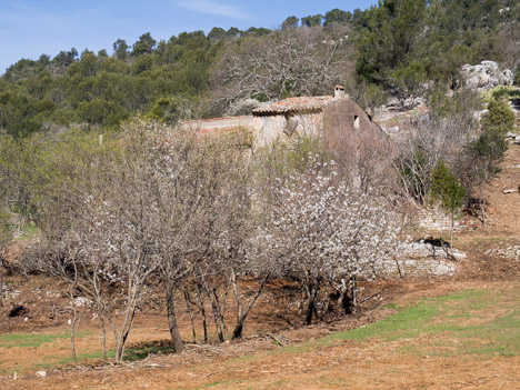 La Barralière