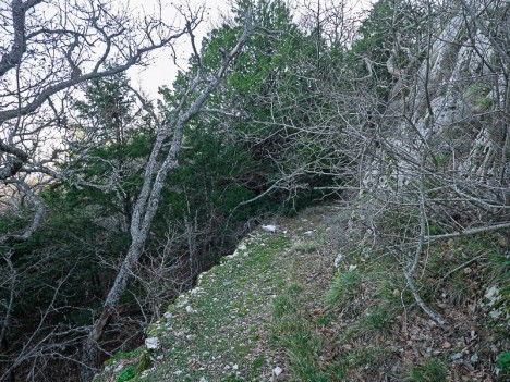 Vieux chemin du Baù des Glacières