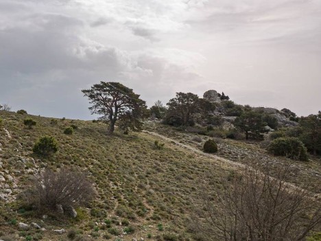 Paysage du Col du Fauge