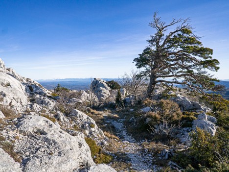 Par la crête orientale de la Sainte-Baume