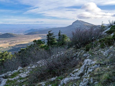 Le Vallon de Betton, dit des Cèdres