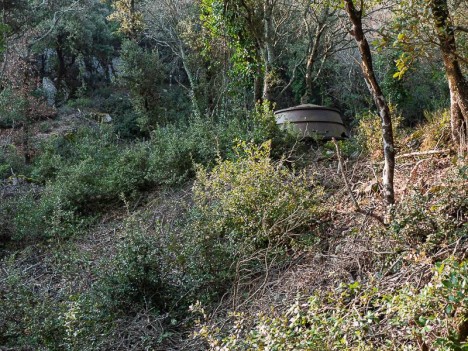 Cuve à charbon de bois du Pié de Masse, Concors