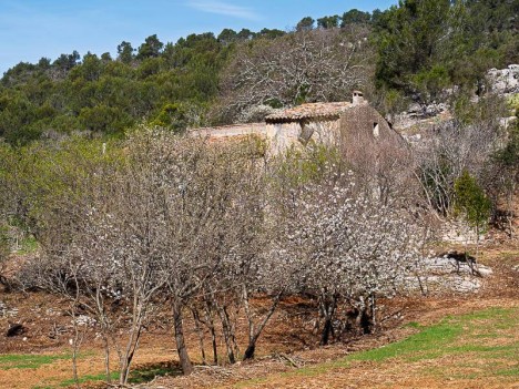 La Barralière