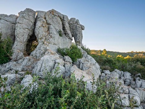 Rouca Traouca