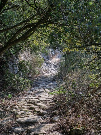 Chemin caladé dans le Vallon de l'Aigue Brun
