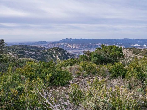 Crane de Colombier, la Vallée de la Durance