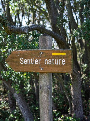 C'est par là, sans lien hypertext