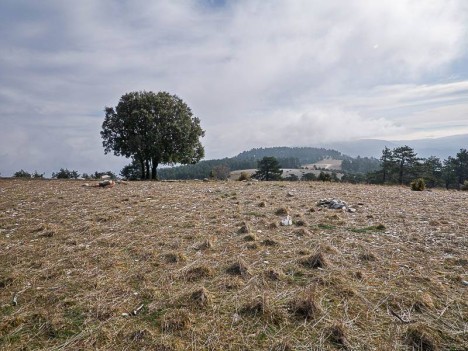 Crête du Mourre Nègre vers l'Est