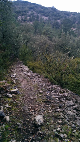 Vieux chemin en remblai en remontant la Combe de Réchaume