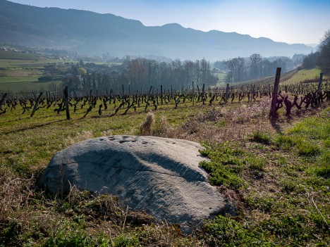 Bloc cupulaire de La Roche, mars 2017