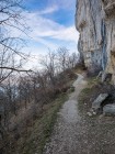 Falaise de la Chambotte, févr. 2017