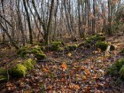 Ruine du plateau du Pic de Glaize, fév. 2017