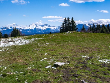 À travers l'alpage du Mont Revard, avr. 2016